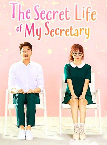 Poster de A Vida Secreta da Minha Secretária